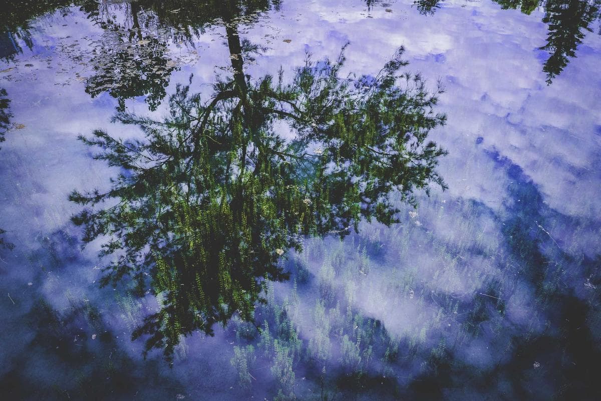 Elegant Apartment with Burj Khalifa Views - Photo 3