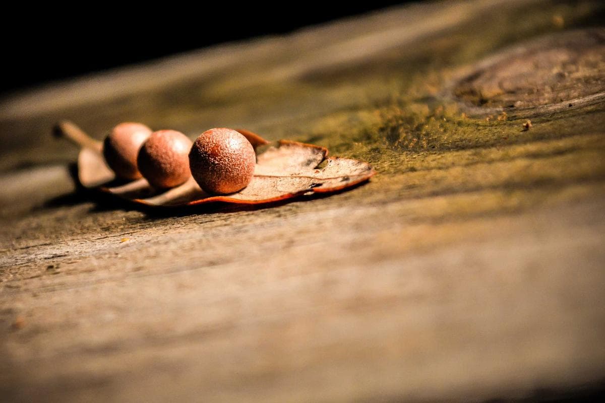 Porto Montenegro Waterfront Apartment - Photo 2